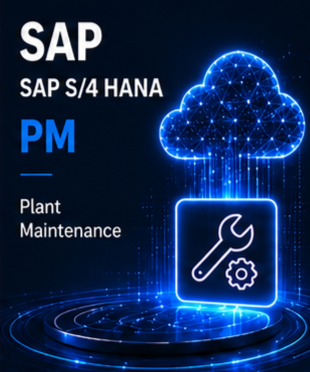 SAP S/4 HANA PM Course @ 7 Eleven Technologies