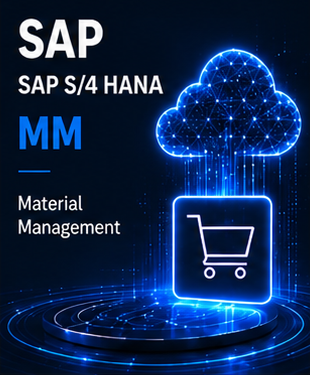 SAP S/4 HANA MM Course @ 7 Eleven Technologies
