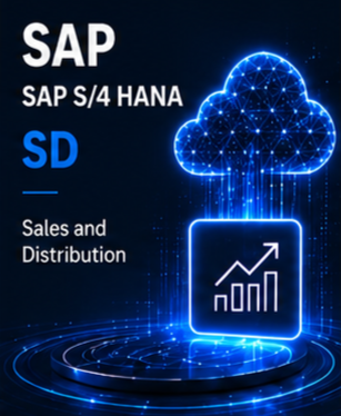 SAP S/4 HANA SD Course @ 7 Eleven Technologies