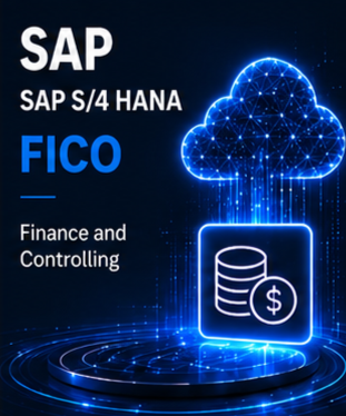 SAP S/4 HANA FICO Course @ 7 Eleven Technologies